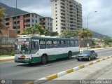 Excarguaica 045