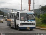 MI - Lnea Las Flores
