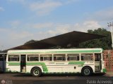 Expresos Bolivarianos 11