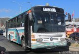A.C. de Transporte Santa Ana 24