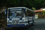 Transporte Privado Joaranny 010, por Pablo Acevedo