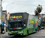 Trans Dora (Per) 954, por Leonardo Saturno