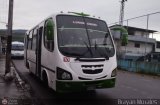 Asociacin Civil Lnea Unin Cordero 010