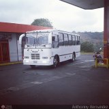 U.C. Caracas - Los Caracas