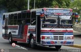 Expresos Pegamar 0010