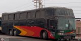 Particular 955