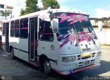 AR - Rosa Mstica de Cagua C.A. 37, por Eduardo Amari