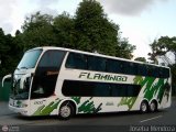 Expresos Flamingo 0100, por Joseba Mendoza