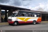 U.C. Mara Lionza