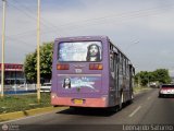 FA - Unin Conductores Paraguan 10, por Leonardo Saturno