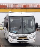 Particular 644 Apple Bus Carroceras Alfa Hino FC9J