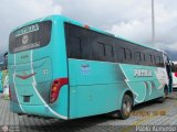 Patria 41, por Pablo Acevedo