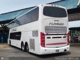 Expresos Flamingo 0060