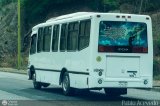 Coop. Transporte Menca de Leoni 038