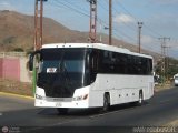 Cooperativa Rio Aragua 18, por @AlfredobusOFC