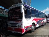 Expresos La Gran Colombia 33