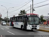 E.T.S. El R�pido S.A. (Per�) 3000