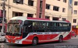 Transportes Lima Urban Company S.A. (Per) 862, por Leonardo Saturno