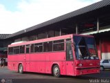 Sistema Integral de Transporte Superficial S.A 736, por Waldir Mata