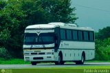 Transporte Bonanza 0035