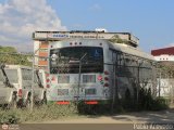 Bus CCS Materfer Materfer guila Materfer BU1115LE
