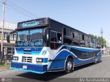 Transporte Mixto Chirgua 0019 por Aly Baranauskas