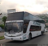 Expresos Flamingo 2024