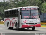A.C. de Transporte Encarnacin 358