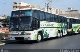 Expresos Flamingo 65