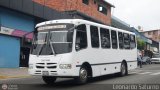 Lnea Los Andes S.C. 087, por Leonardo Saturno