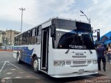 Caribe Express C.A. 0024