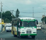 L�nea Altagracia 12