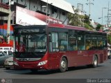 TransAragua S.A. 142, por Oliver Castillo
