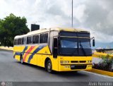 Ejecutivos Boga 30, por Alvin Rondn