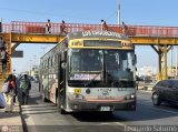 E.T. y Servicios San Jos� S.A. (Per�) 151