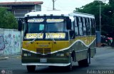Transporte Gran Orinoco S.C. 22, por Pablo Acevedo