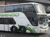 Expresos Flamingo 0097