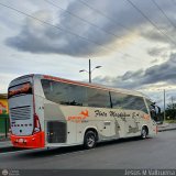 Flota Magdalena S.A. 1647, por Jess M Valbuena