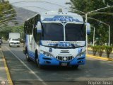 Inversiones Pino 05, por Royner Tovar