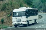 S.C. L�nea Transporte Expresos Del Chama 004