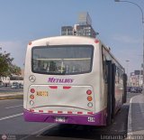 Consorcio del Corredor Morado (Per) 459, por Leonardo Saturno
