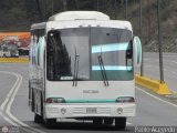 Servicios Especiales del Centro C.A. 55