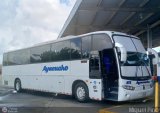Uni�n Conductores Ayacucho 2072, por M�guel Pino