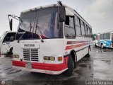 A.C. Don Augusto Malave Villalba 149