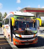 Tax Gacela 003, por Leonardo Saturno