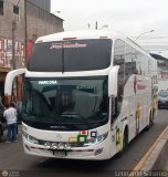 Expreso Internacional Palomino 7016, por Leonardo Saturno