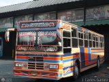 Transporte Unido (VAL - MCY - CCS - SFP) 029, por J. Carlos Gmez
