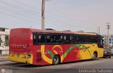 Particular 105 Comil Galleggiante 3.60 Mercedes-Benz O-400RS