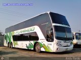 Expresos Flamingo 0098