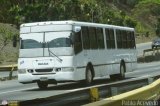A.C. de Transporte Encarnacin 302